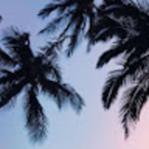 Meet your Posher, Mya